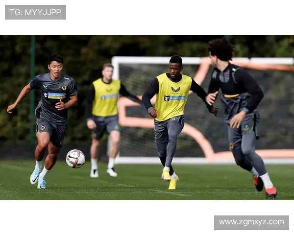 购买狼队比赛日节目册，享受精彩赛事体验